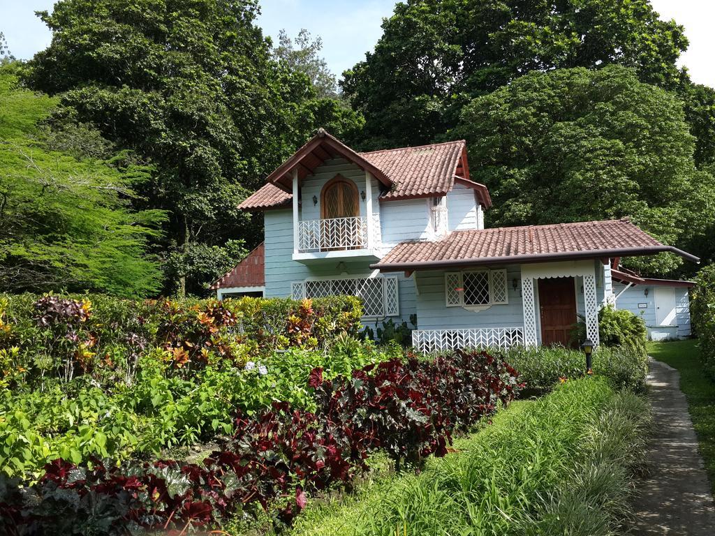 Park Eden Bed & Breakfast Los Llanitos 客房 照片