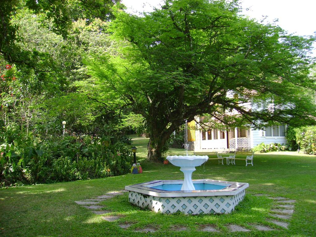 Park Eden Bed & Breakfast Los Llanitos 外观 照片